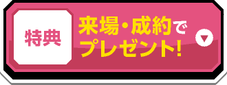 来場・成約でプレゼント